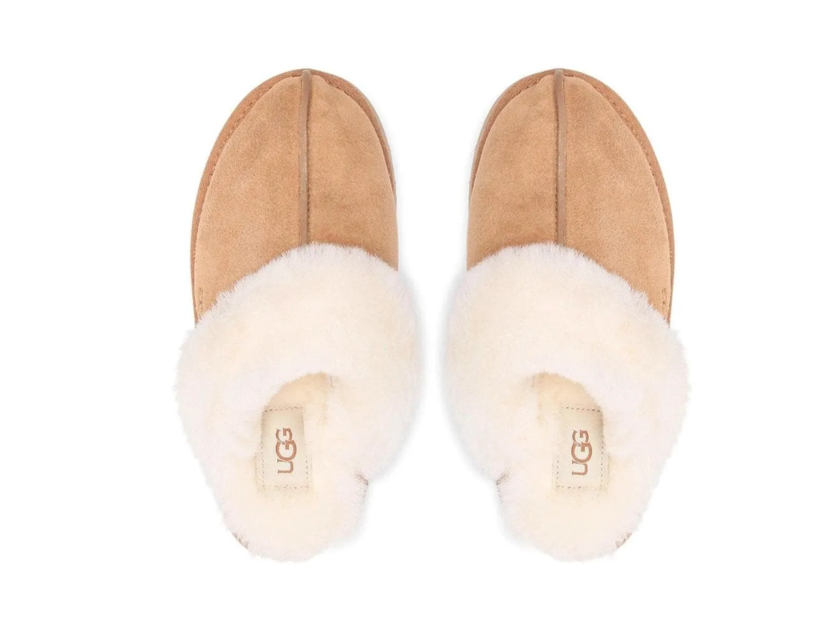 UGG DISQUETTE